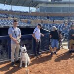 Attendees with service dogs at baseball field.